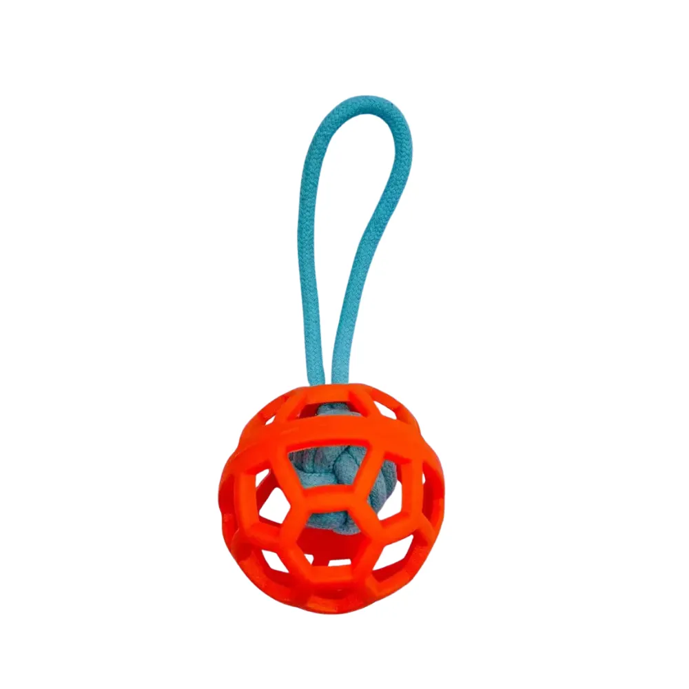 Orange TPR hollow dog toy with blue rope handle for training