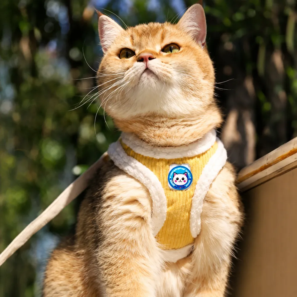 Orange cat wearing a calming sticker on a pet harness for outdoor anxiety and stress relief support