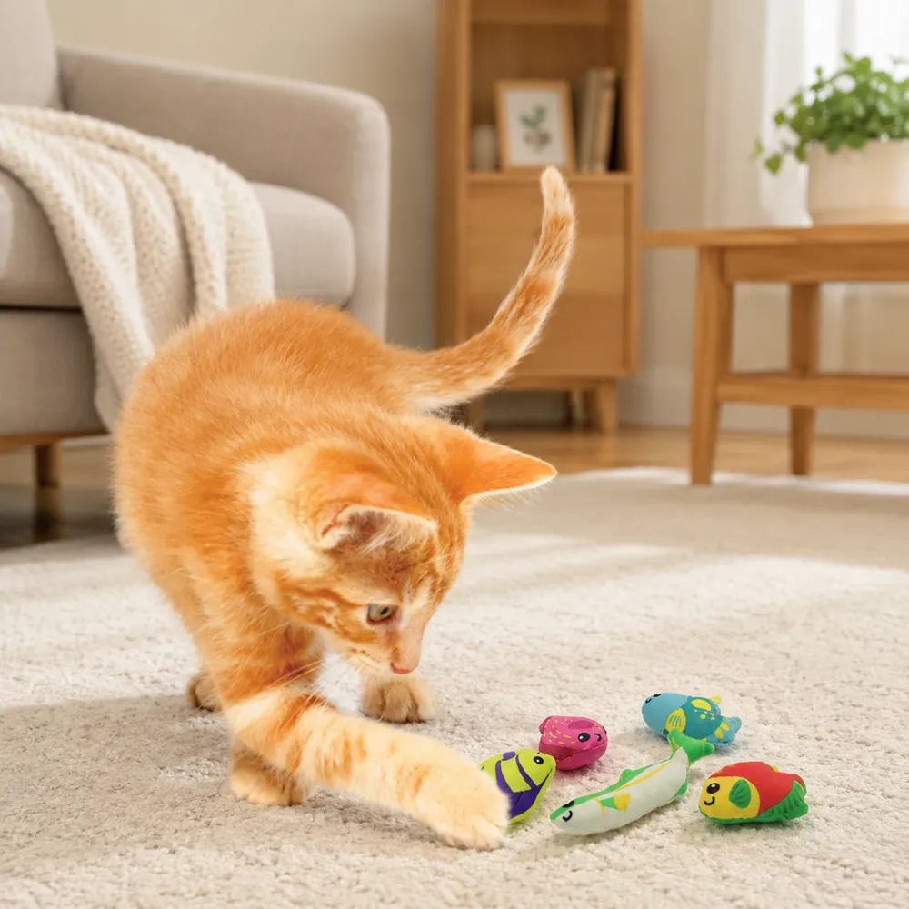 Indoor Cat Playing with Plush Fish Cat Toys | Petfairs Ginger kitten playing with colorful plush fish toys on a living room carpet