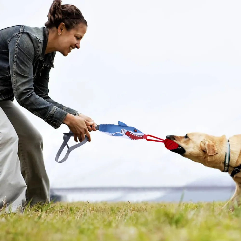 Dog owner playing tug of war outdoors with interactive shark dog toy and rope ball
