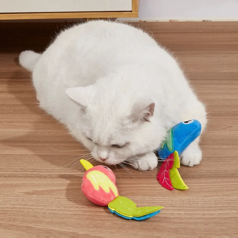 White cat playing with colorful simulated bird catnip plush toys on wooden floor indoors