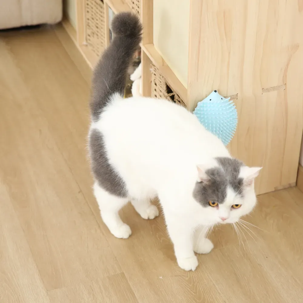 Cat-Bath-Brush