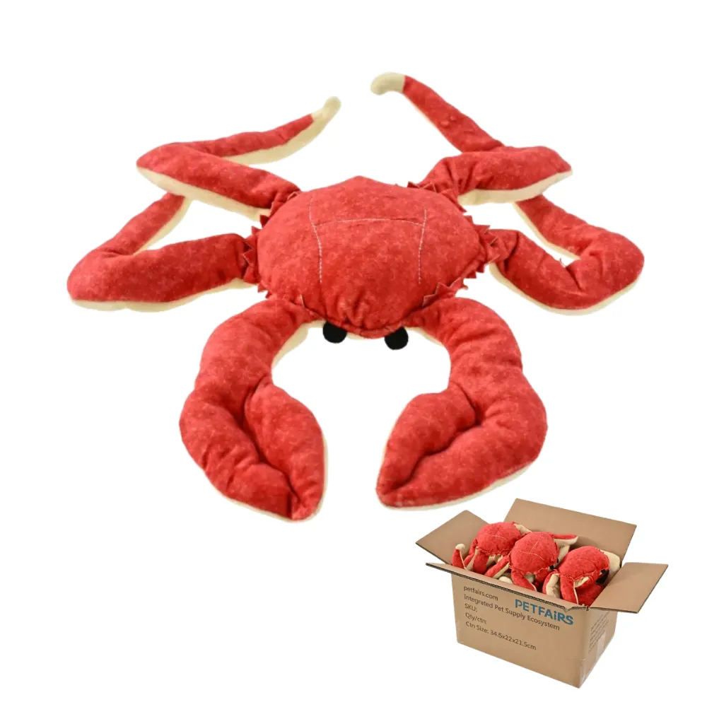 26 26