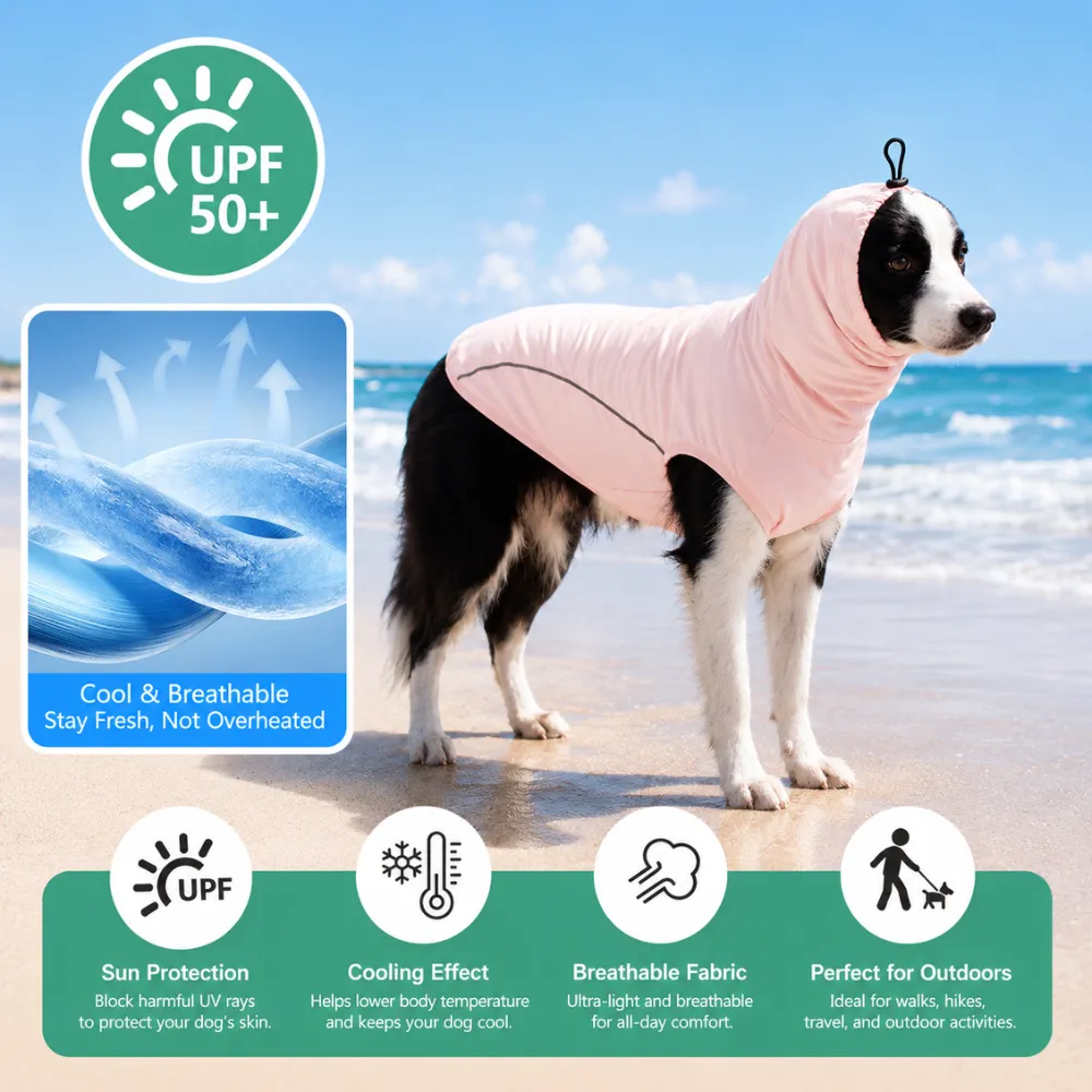 UPF50+ Dog Sun Protection Shirt for Summer Outdoor Activities Border Collie wearing UPF50+ cooling dog sun protection shirt on the beach for UV protection and breathable summer comfort