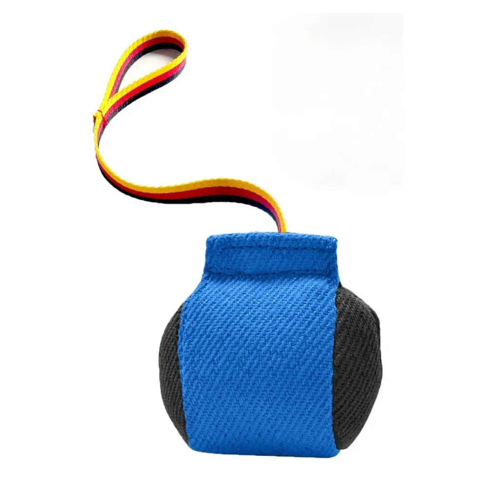 Blue durable bite tug dog training toy with nylon handle for chewing and tug games