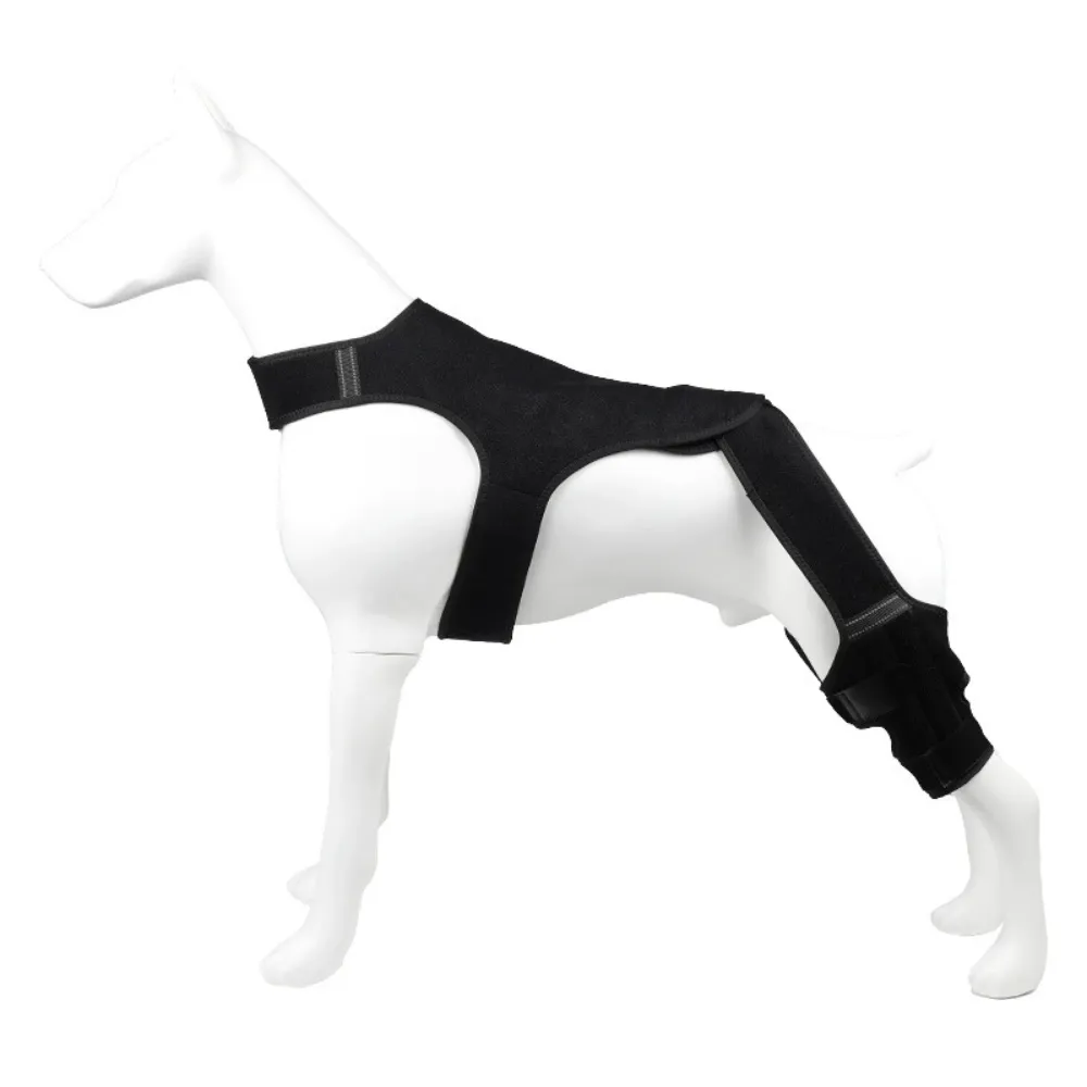 Dog Hind Leg Support Brace for Injury Recovery and Joint Protection Black dog hind leg support brace with adjustable straps for hip, thigh, and knee stabilization on white mannequin dog model