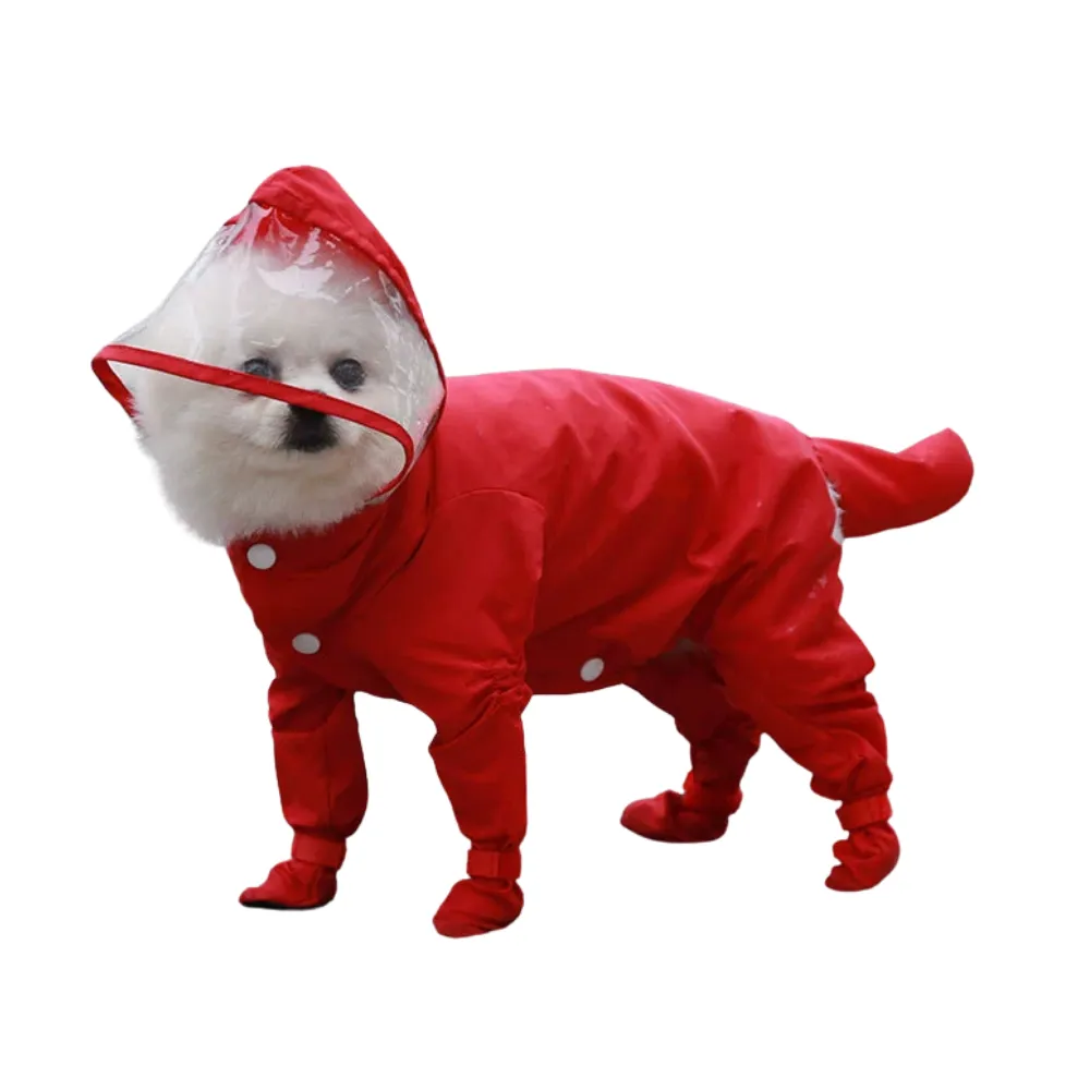 Small white dog wearing a red waterproof 4-legged dog raincoat with transparent hood and full-body protection