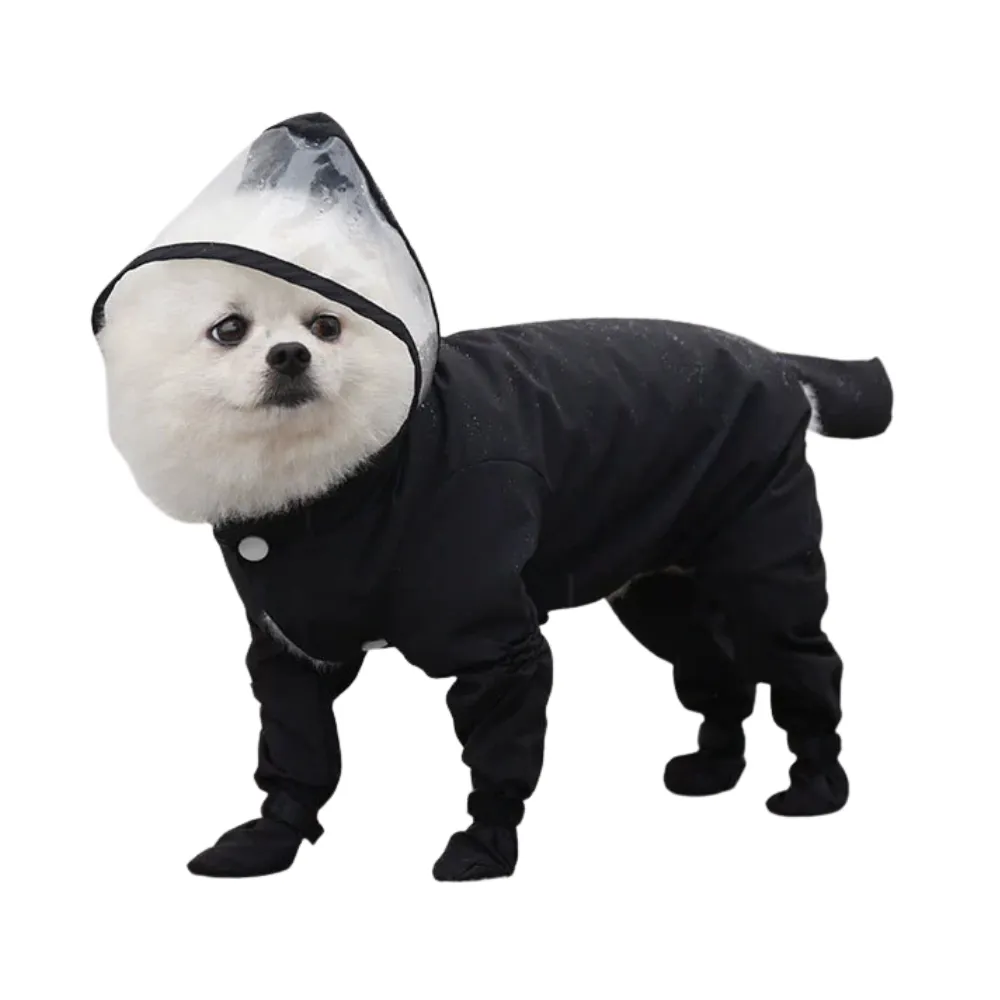 Small dog wearing black waterproof full-body dog raincoat with hood and booties