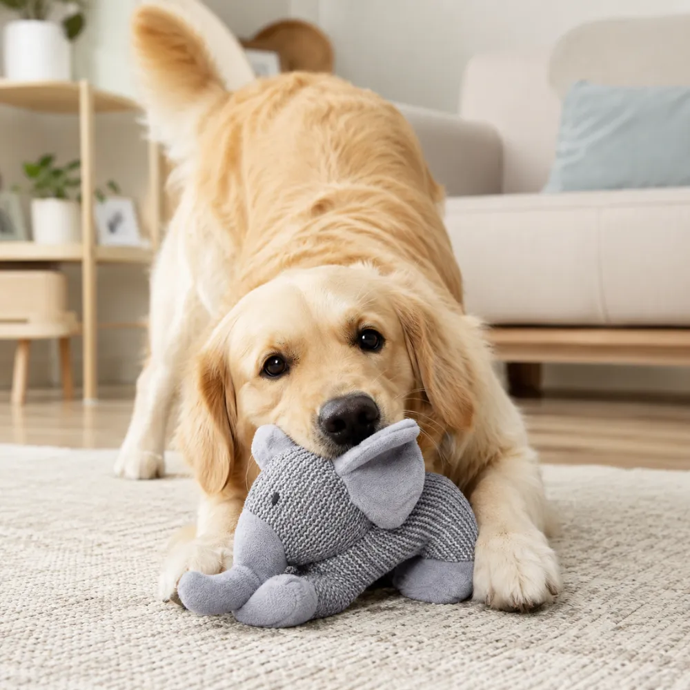 Golden retriever chewing soft plush elephant dog toy indoors on carpet