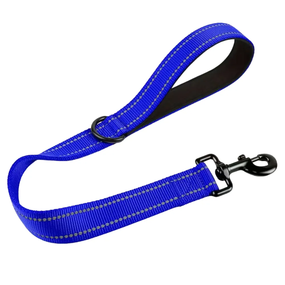 Blue reflective nylon dog training leash with heavy duty swivel hook and padded handle