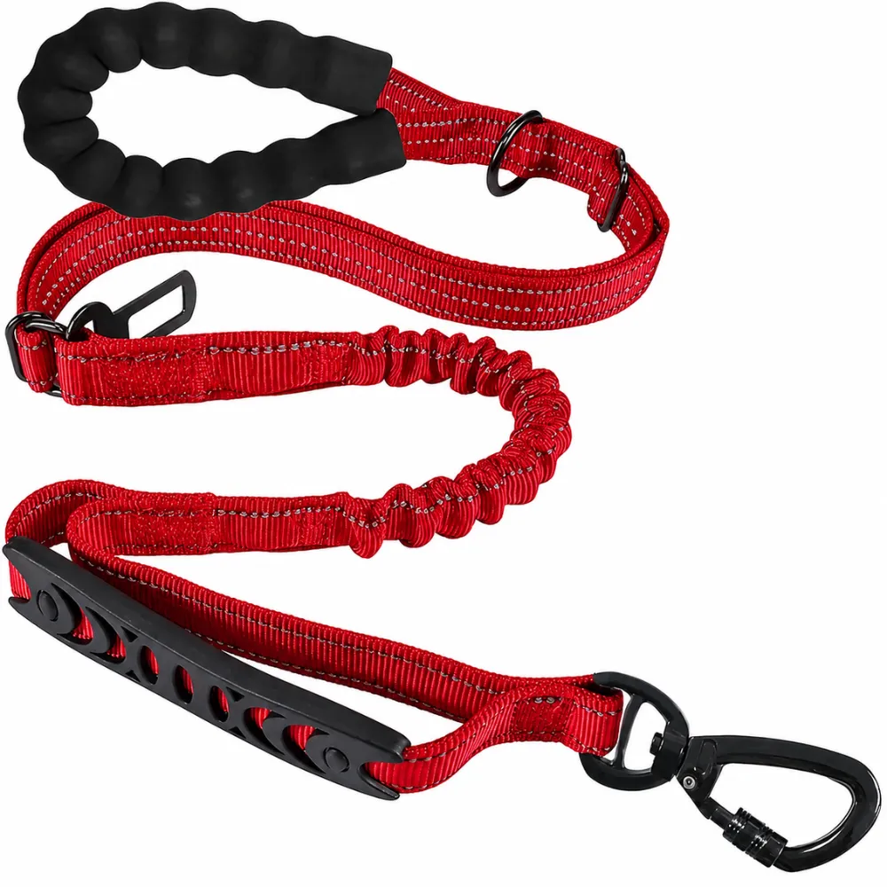 Red reflective bungee dog leash with durable nylon strap and safety buckle