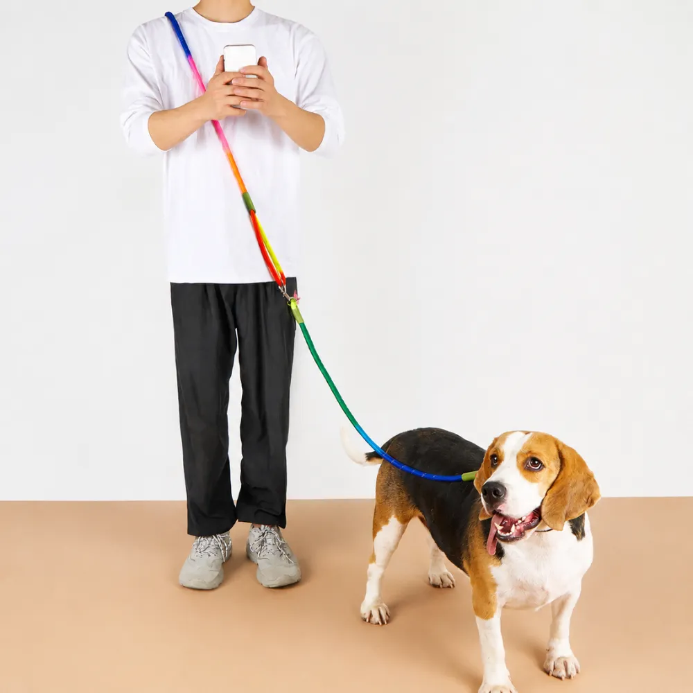Pet owner using colorful reflective hands-free dog leash with beagle dog indoors