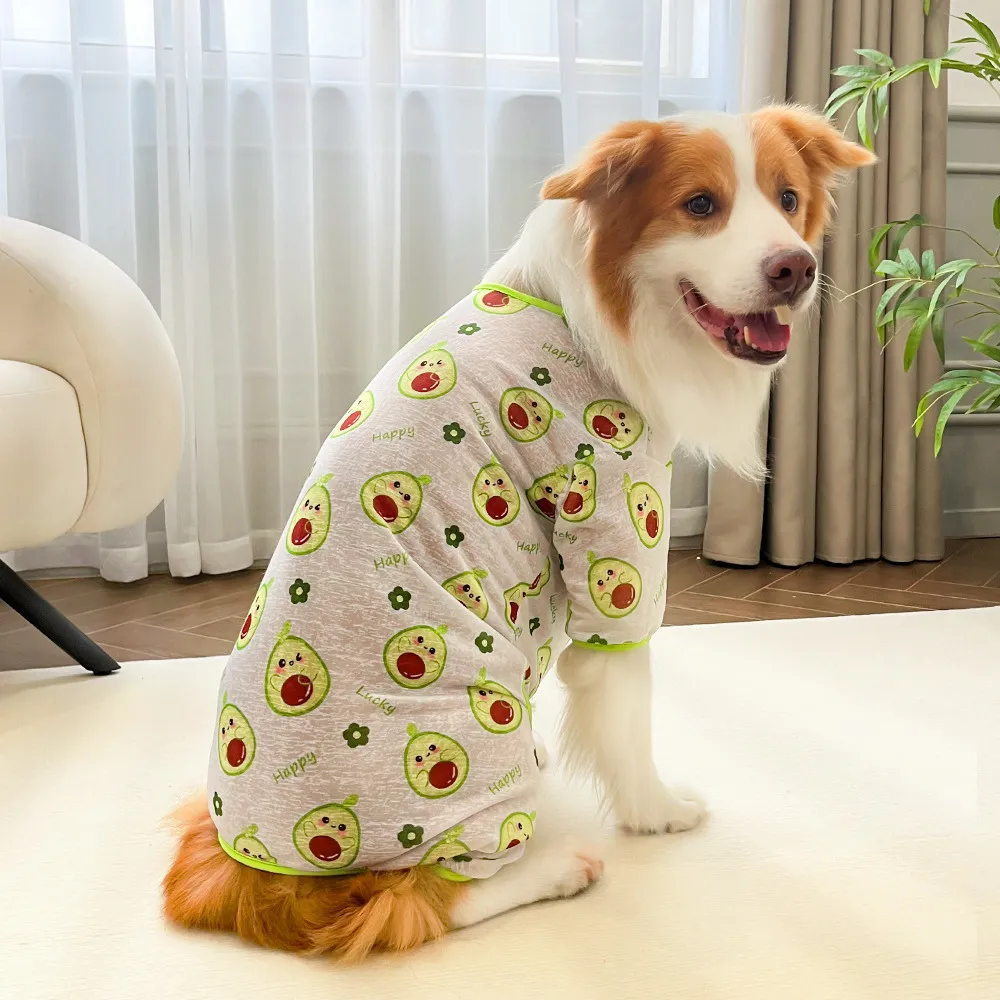 Border collie wearing avocado print lightweight dog pajamas in a modern living room