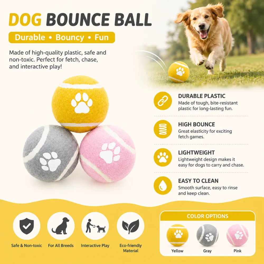 Durable high bounce dog ball toy made from safe plastic material for interactive pet play
