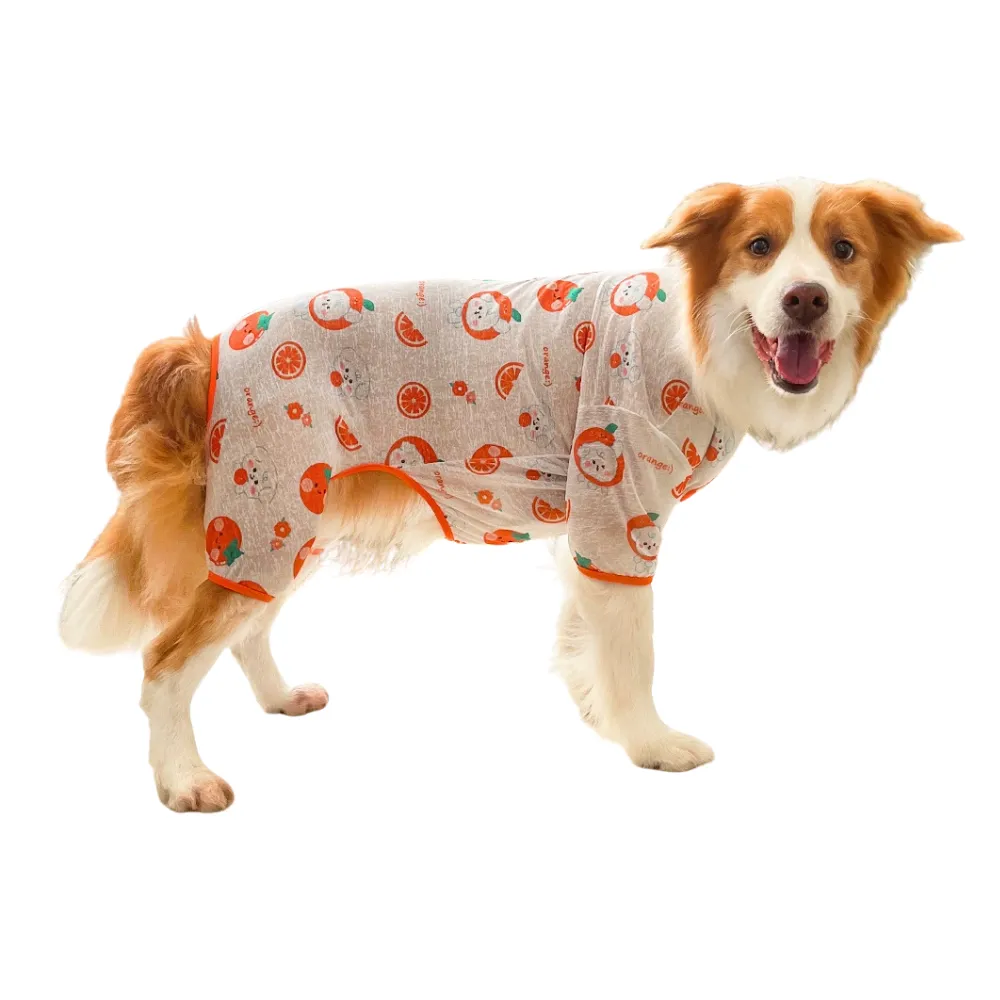 Large dog wearing orange fruit print breathable dog pajamas isolated on white background