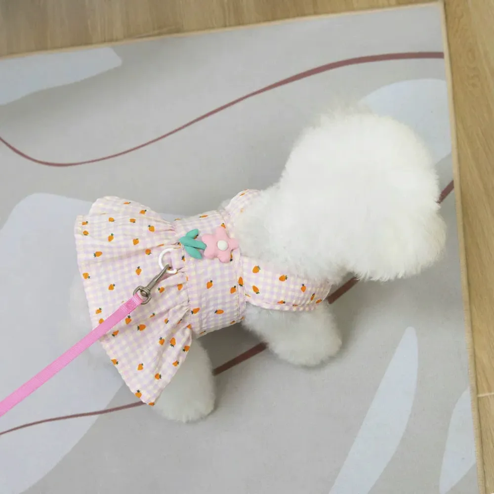 Small white dog wearing pink floral plaid dog dress with leash attachment