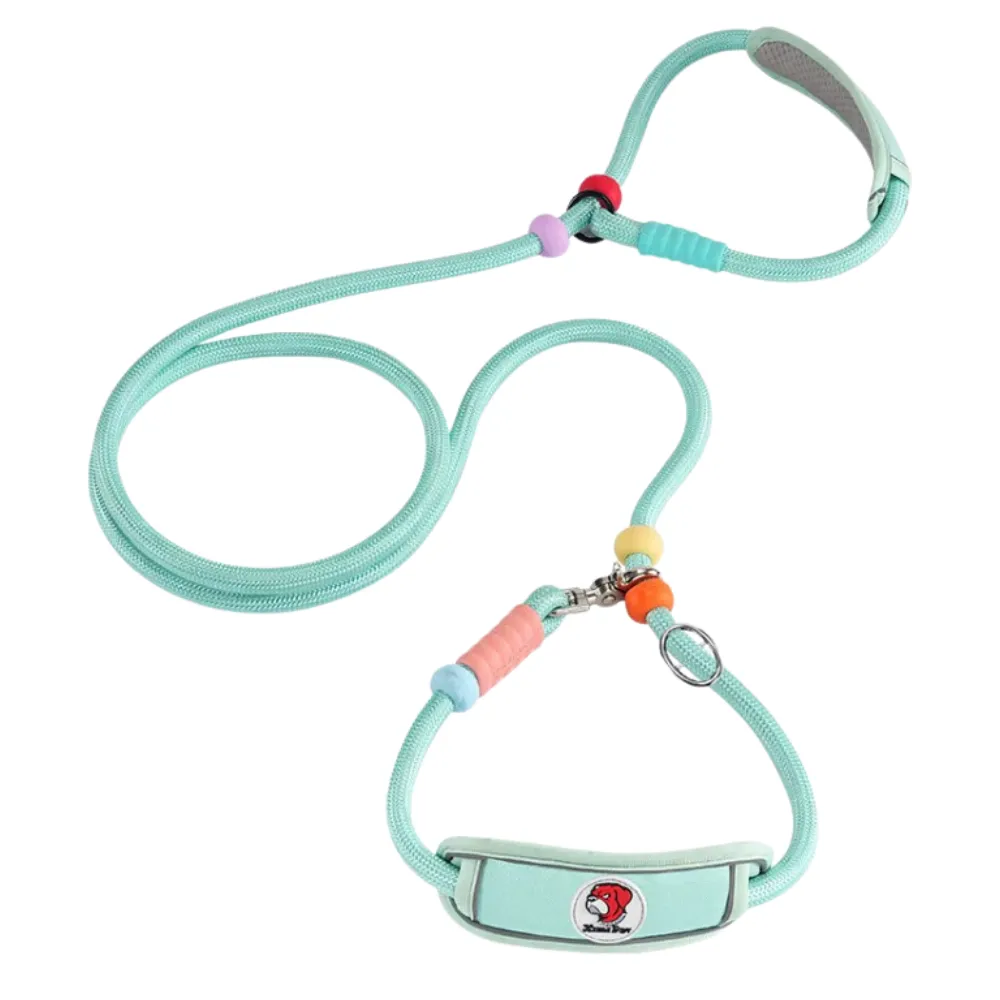 Mint green anti-choke adjustable dog slip lead leash with padded neck support and alloy clip