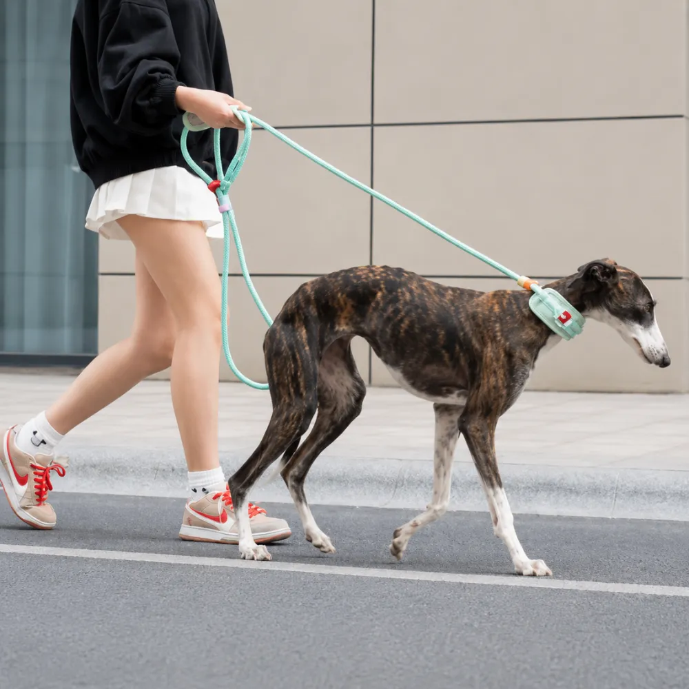 Woman walking a large dog outdoors using reflective anti-choke dog leash