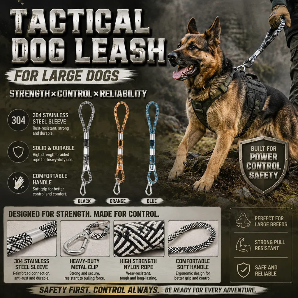Large German Shepherd wearing a tactical leash during outdoor training and walking