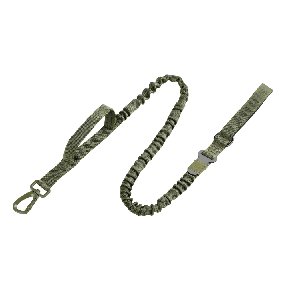 Green reflective dog leash featuring elastic bungee design and adjustable length