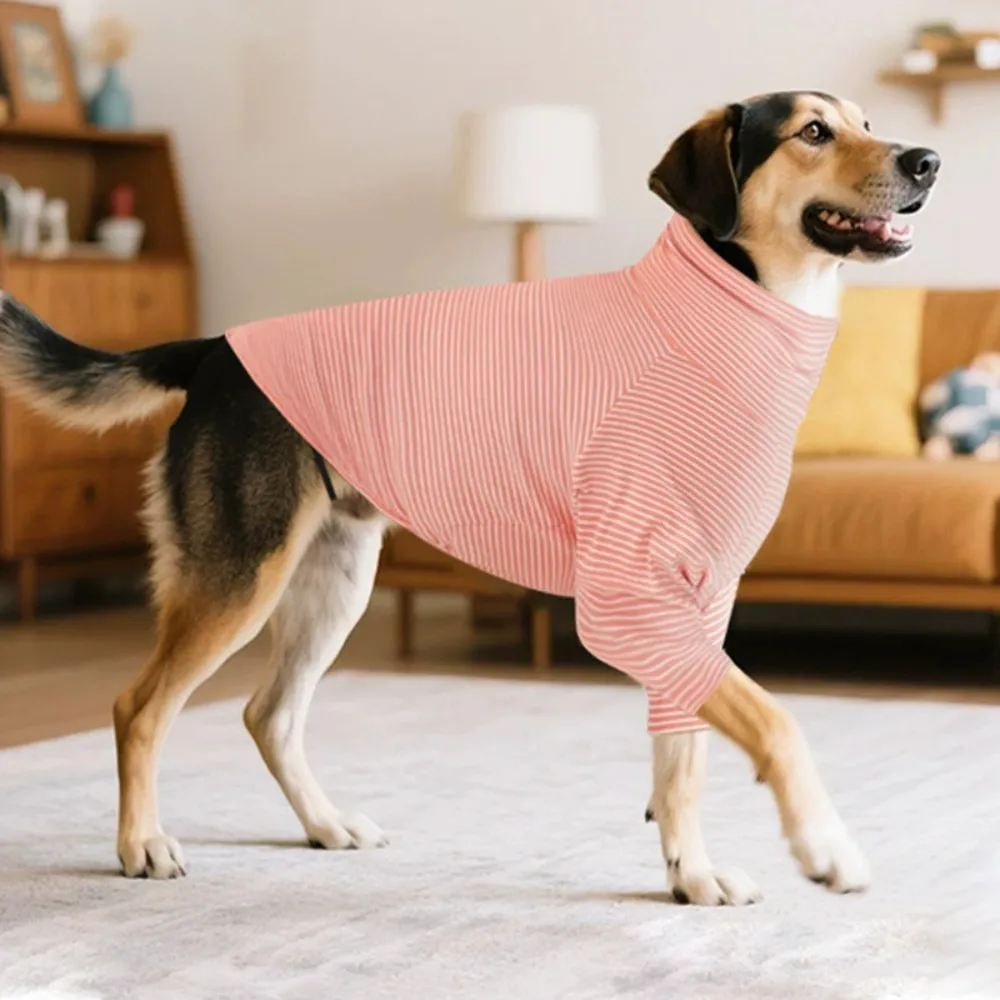 Medium large dog wearing pink striped loungewear in a cozy indoor home environment