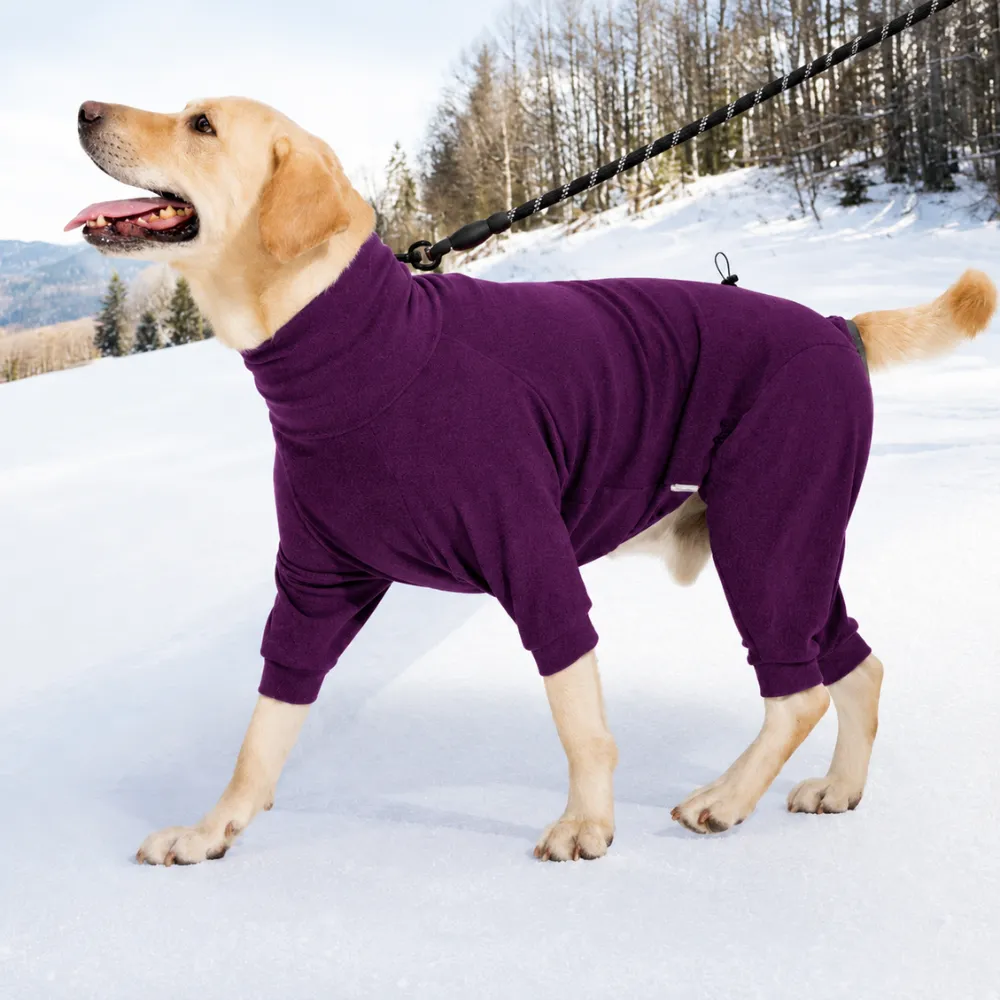 Large dog wearing a purple high-neck four-leg winter hoodie while walking in snowy weather