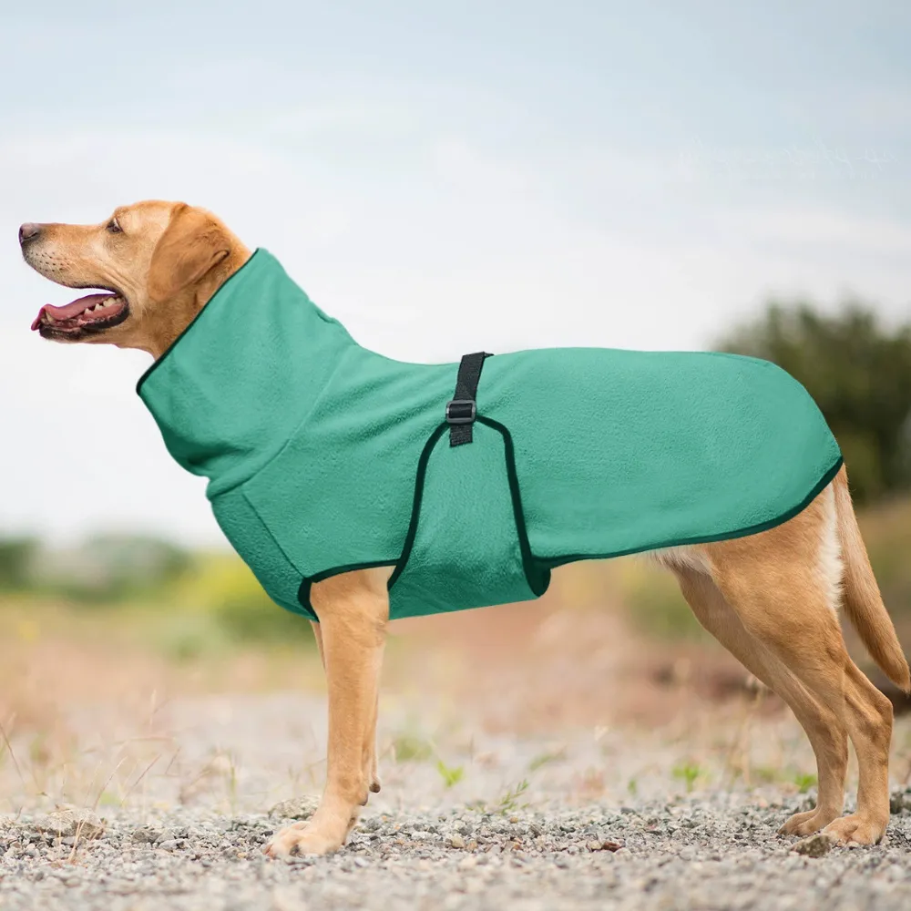Large dog wearing warm fleece coat outdoors for winter walks and cold weather protection