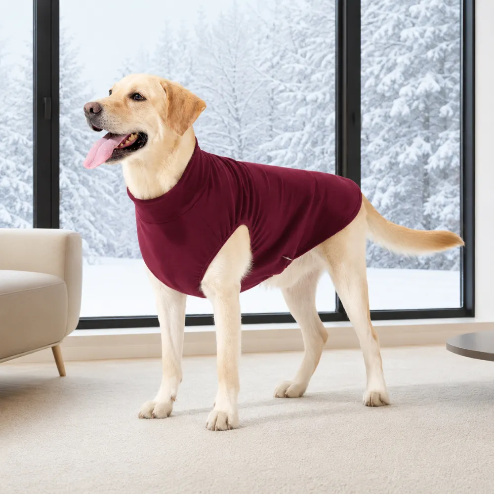 Labrador dog wearing sleeveless fleece winter vest indoors during cold weather