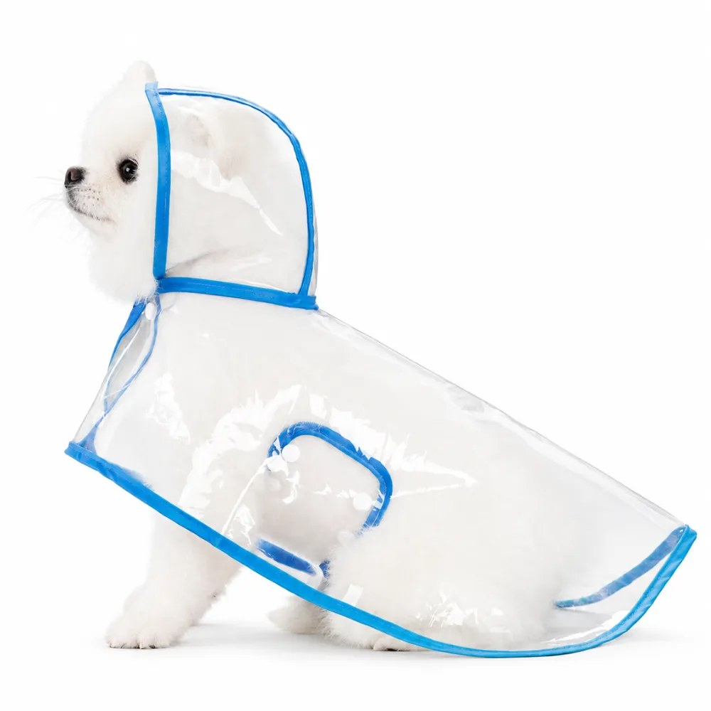 Transparent waterproof dog raincoat with blue trim and hood designed for rainy outdoor walks