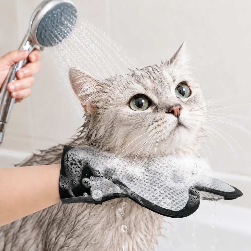 Cat being washed with a silicone pet bath glove during grooming