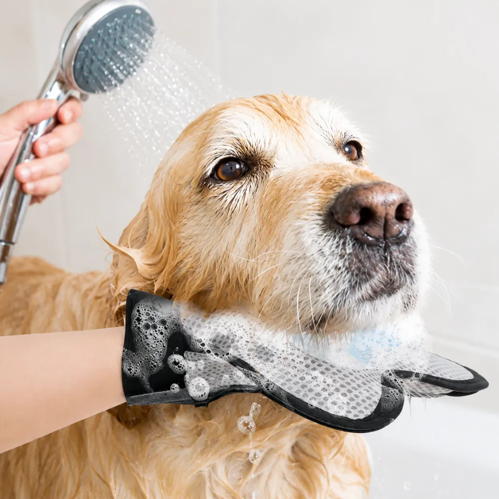 Dog being bathed using a pet grooming glove with soft silicone bristles