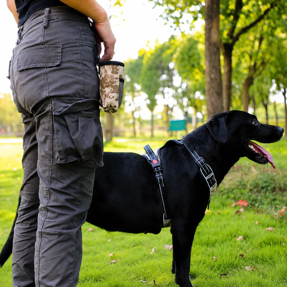 Dog owner using a portable dog walking bag attached to belt while walking a black Labrador outdoors