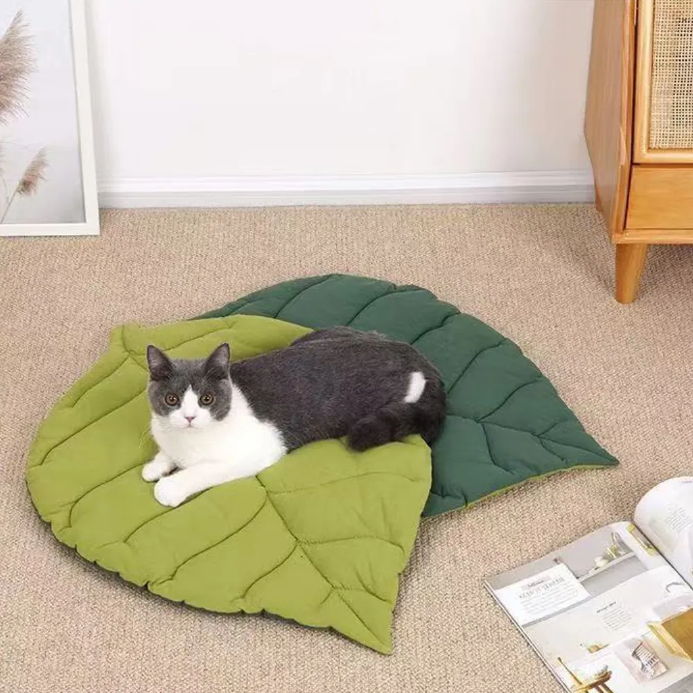 Indoor cat resting on a reversible leaf shaped cat bed mat in a cozy living room