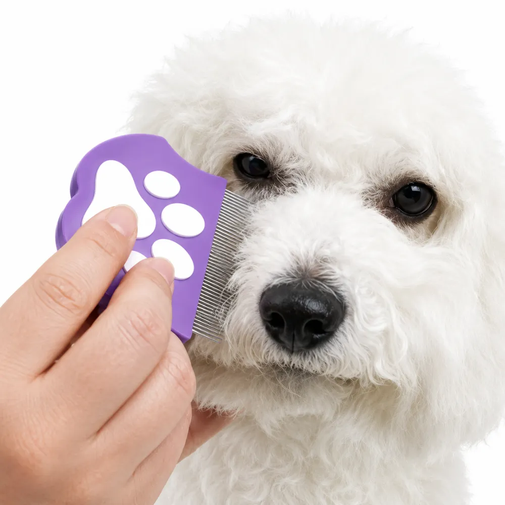 Pet Flea Comb for Dogs – Fine Tooth Grooming Comb for Tear Stains & Flea Removal Close-up of a white dog being groomed with a purple fine tooth pet flea comb for tear stain cleaning and flea removal.