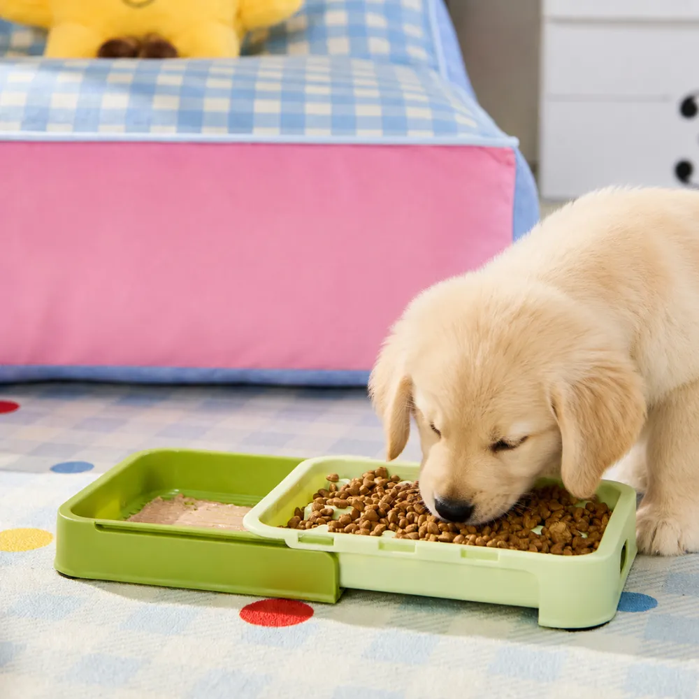 Golden retriever puppy using a slow feeder bowl with separated compartments for wet food and dry kibble