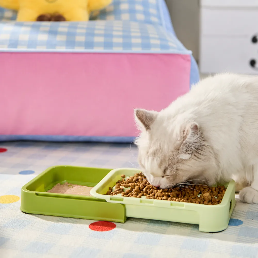 Cat eating from a dry and wet separation slow feeder bowl designed to slow feeding and improve digestion