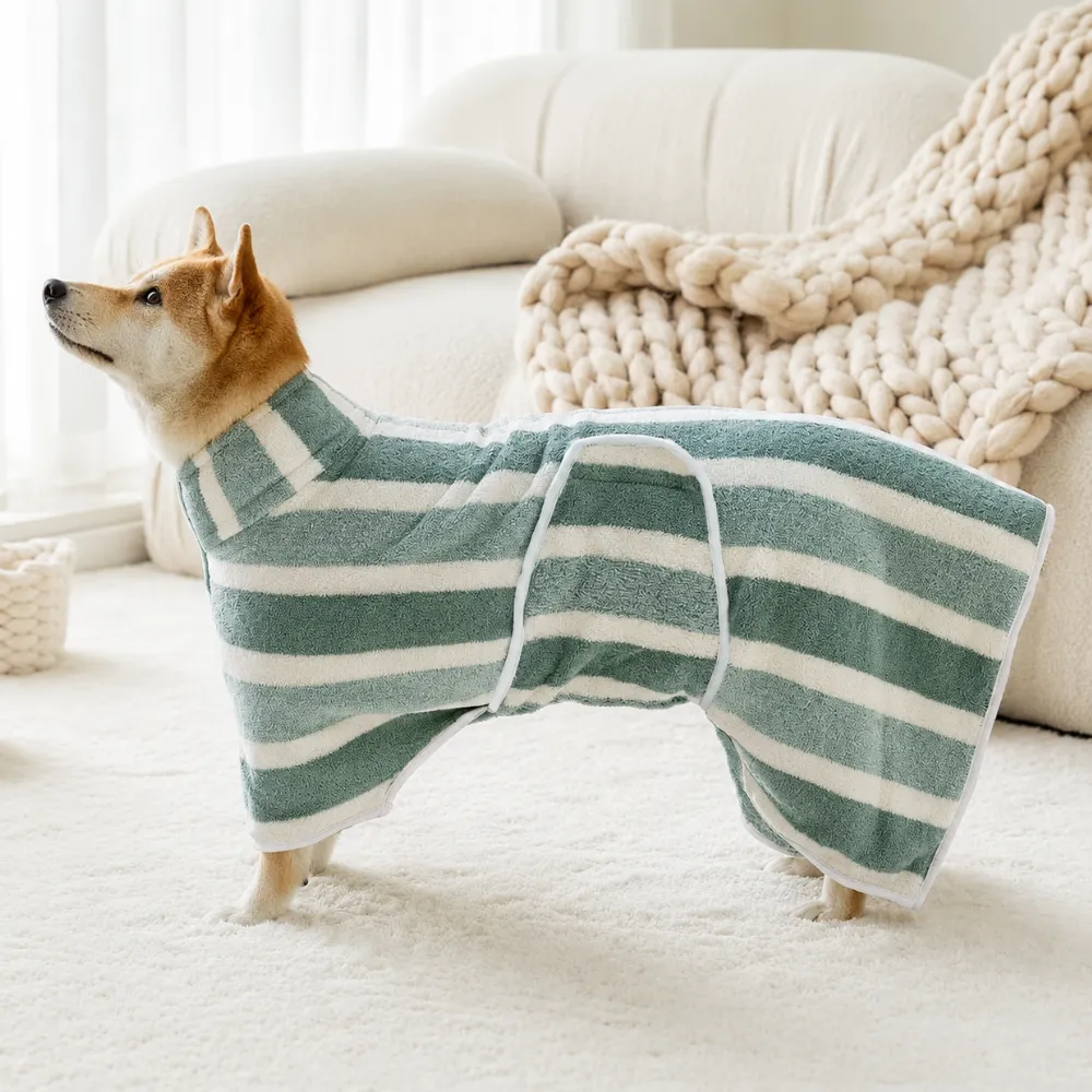 Dog relaxing indoors while wearing a quick-dry microfiber bath robe