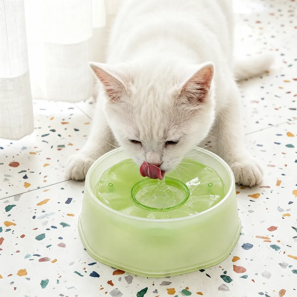White cat drinking from green floating pet water bowl with anti-wet-mouth design