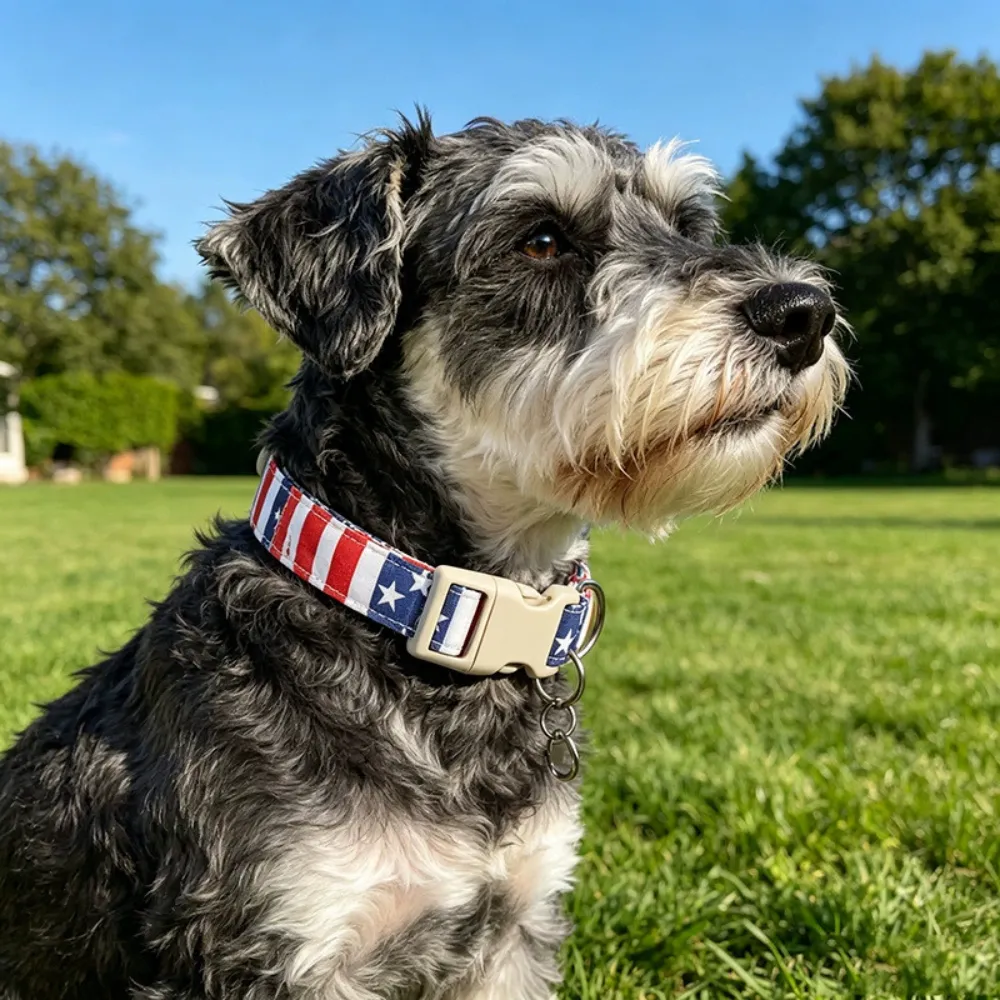 Dog wearing American flag adjustable collar outdoors on grass