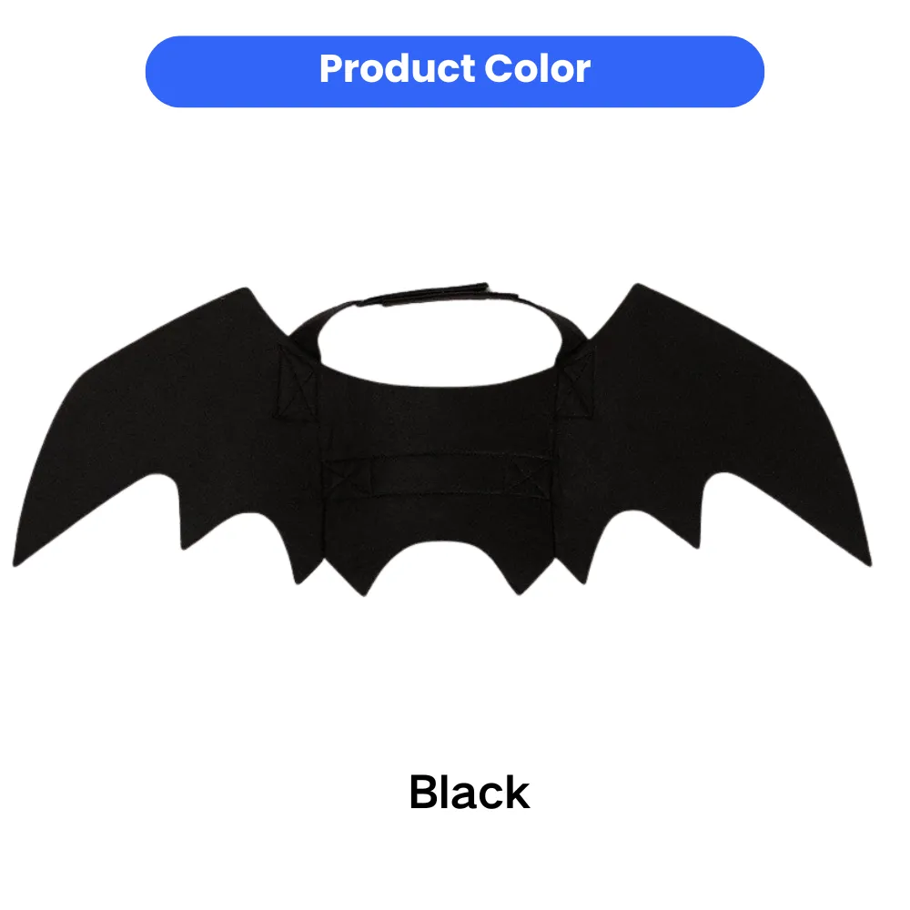 Black color option for Halloween bat wings pet costume for dogs and cats