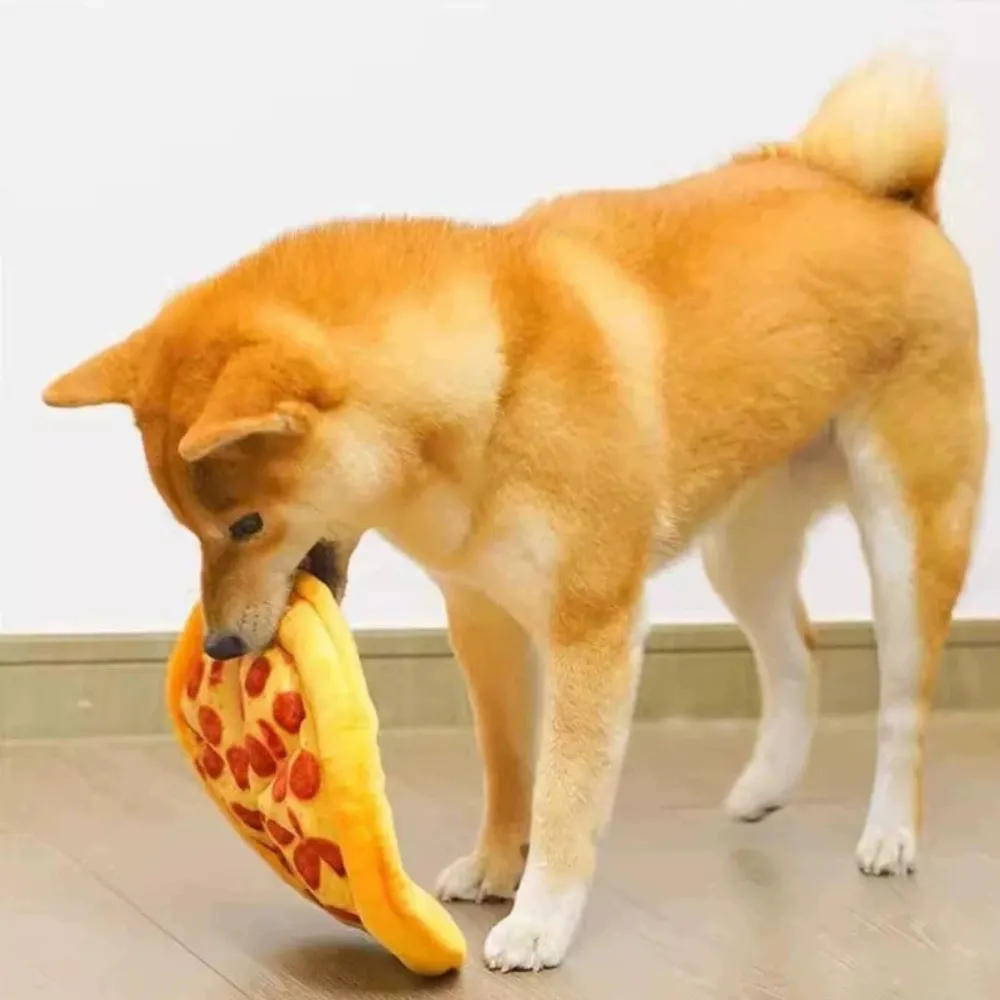 Shiba Inu dog playing indoors with a yellow pizza plush squeaky toy