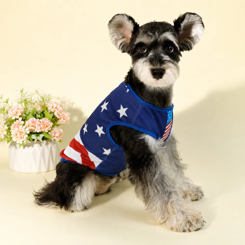 Small schnauzer wearing blue red and white USA flag dog vest for Independence Day and summer celebrations