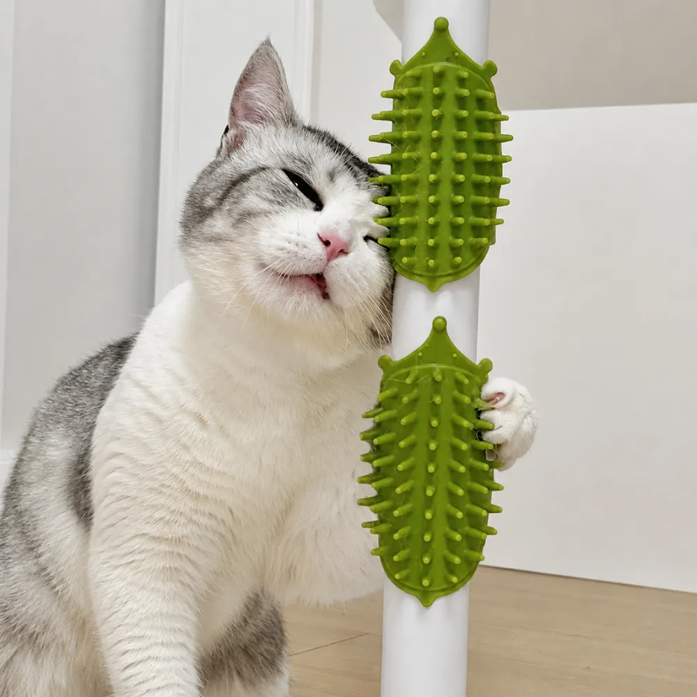 Cat Using Self Grooming Brush at Home Cat rubbing its face on a green silicone self grooming brush attached to a post for daily grooming and massage