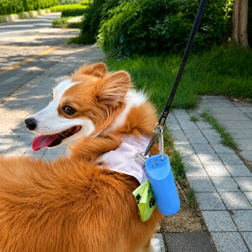 Dog poop bag holder attached to dog leash for convenient outdoor walks