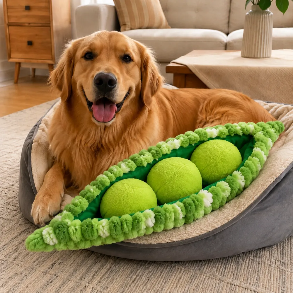 Dog playing with giant pea pod plush toy at home