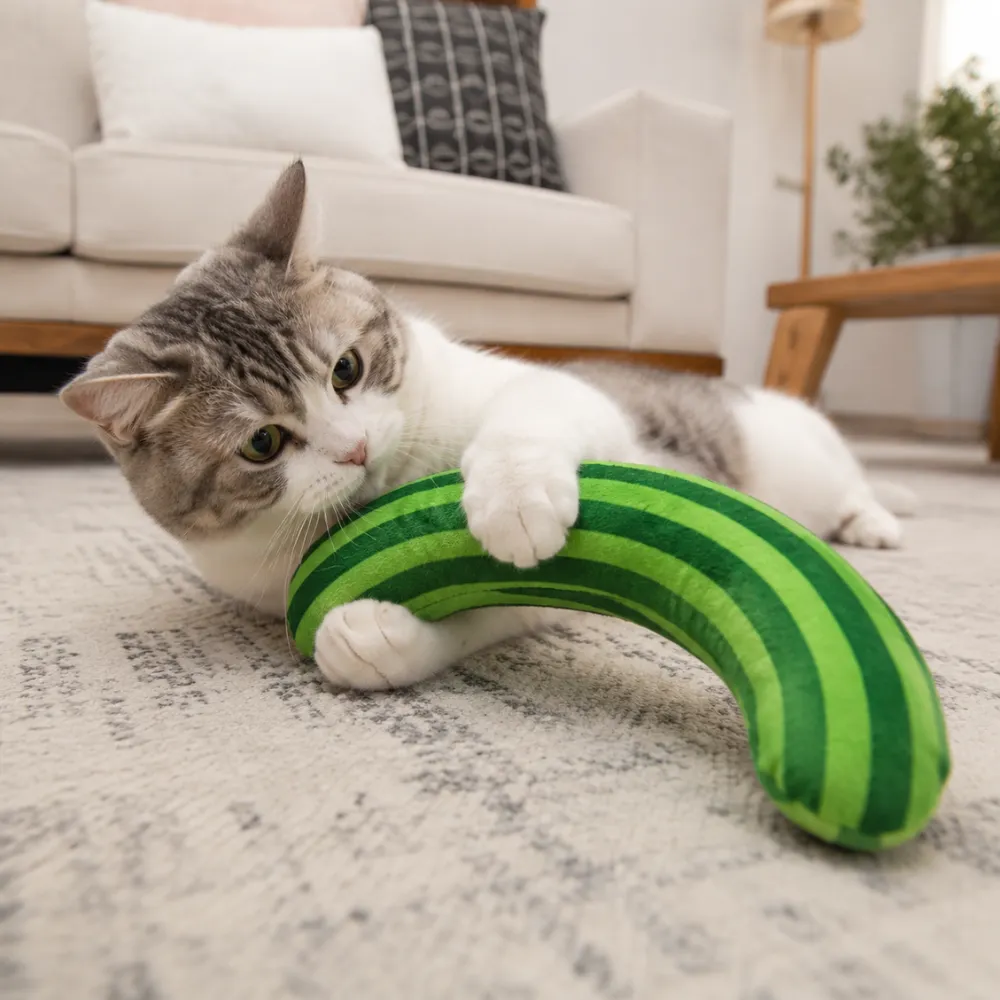 Cat playing with a rainbow plush interactive toy on carpet at home