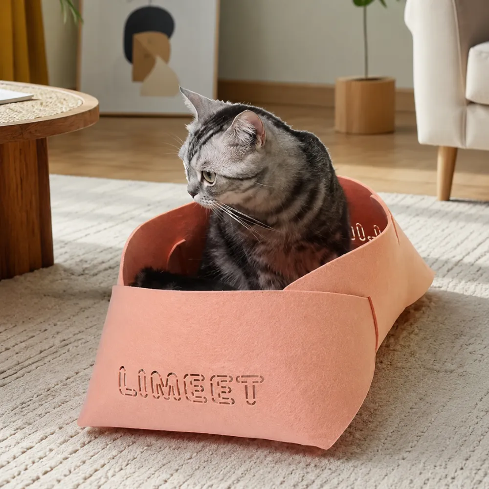cat sleeping and relaxing in a soft felt cat bed at home