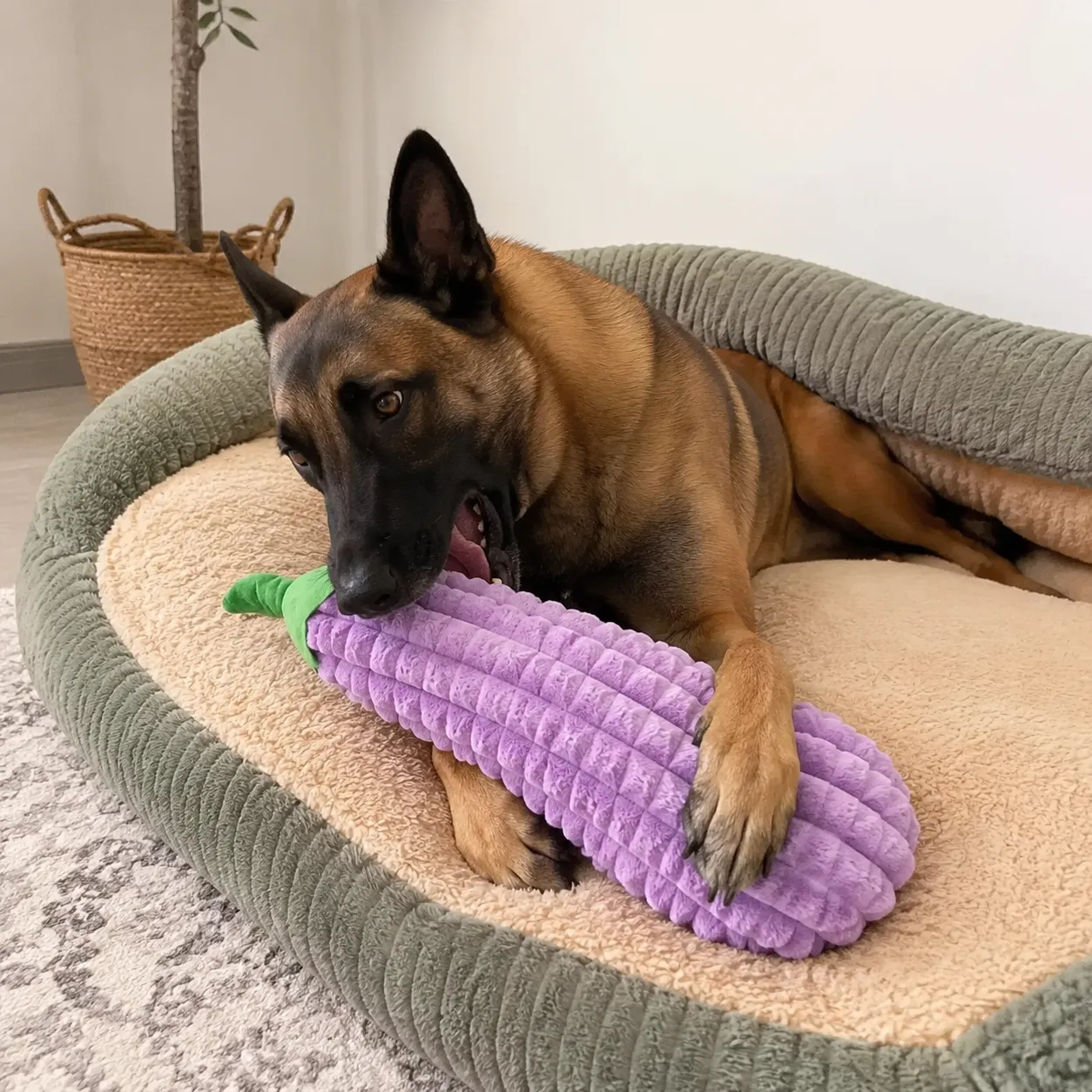 Dog relaxing in a pet bed while playing with a giant eggplant plush toy