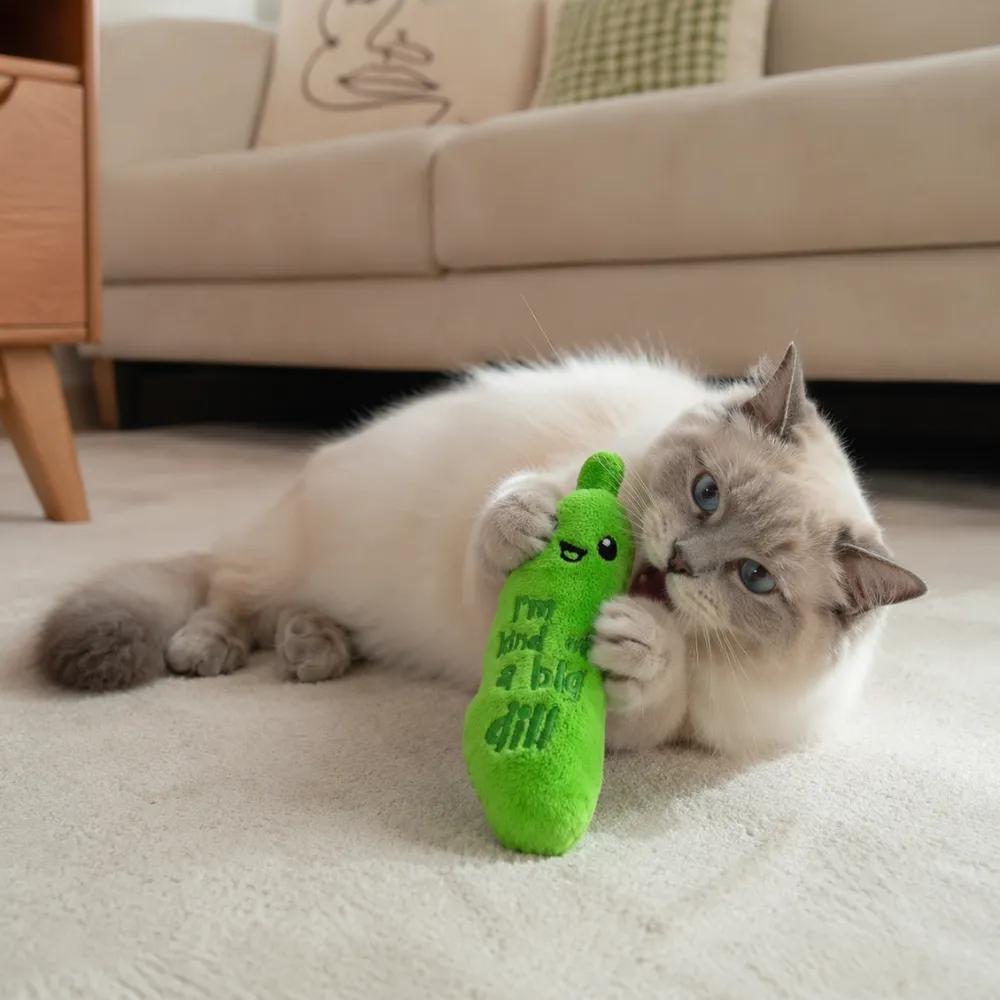 Cat playing with a green dill pickle plush cat toy in a home environment